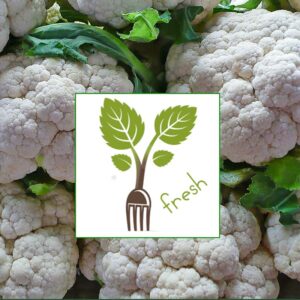 FRESH-CHIP for food energizing and harmonizing