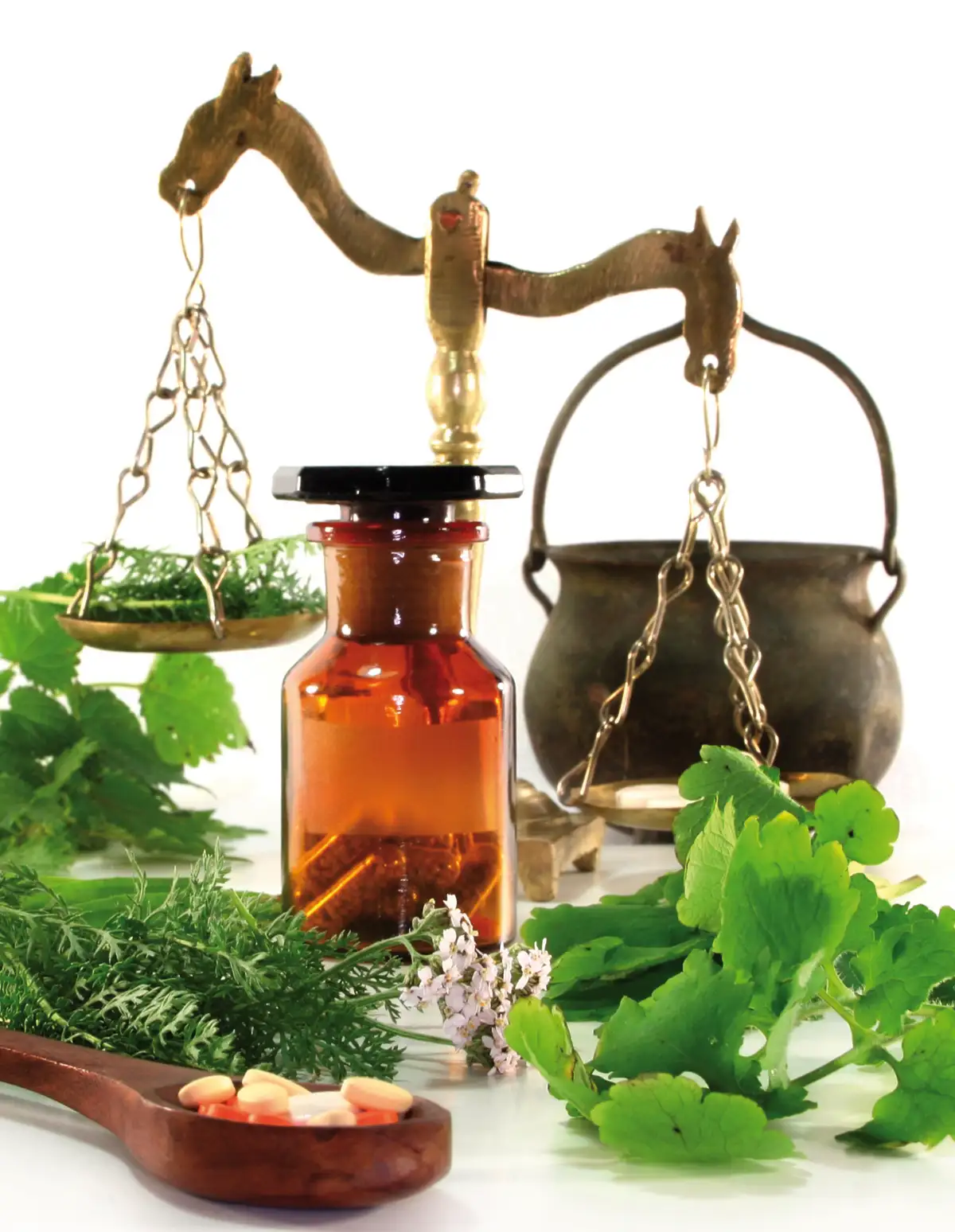 The 6 Popular Biotraxx Natural Detoxification Steps