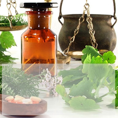 Biotraxx Health Shop