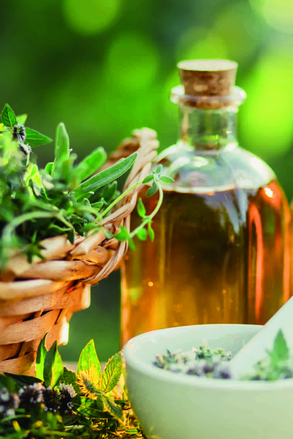 Biotraxx Home made style production